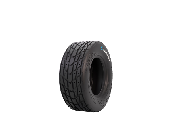 GOLDSPEED C-9205 FT 165-70-10 Blue