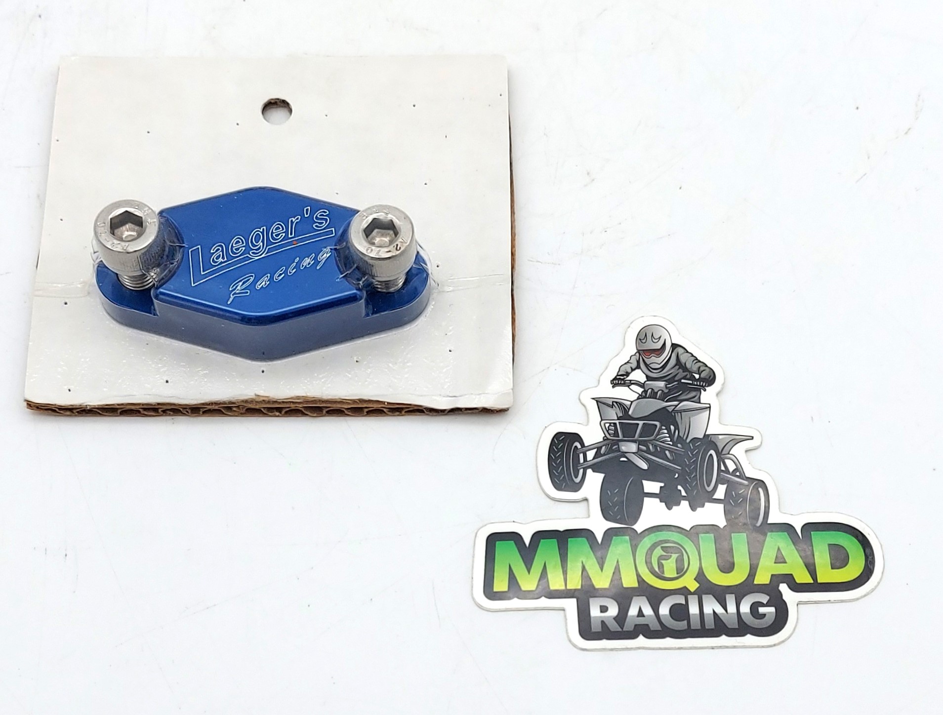 Laegers Bremssattel-Platte bei Demontage Feststellbremse Yamaha YFZ 450R